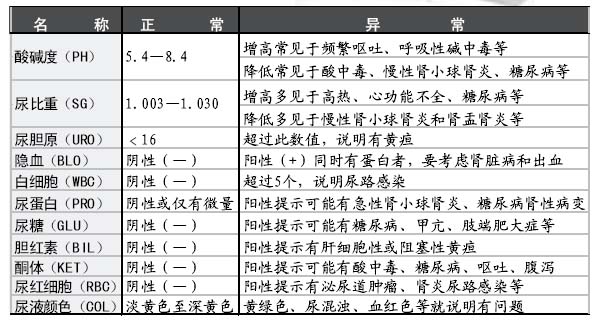 尿常规化验单结果图片